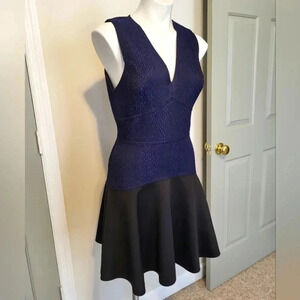 Rebecca Taylor V-Neck Snake Textured Bodice Jacquard Dress(8)